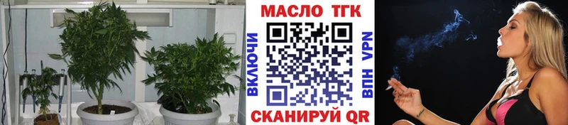 ТГК вейп OMG ONION Елизаветинская