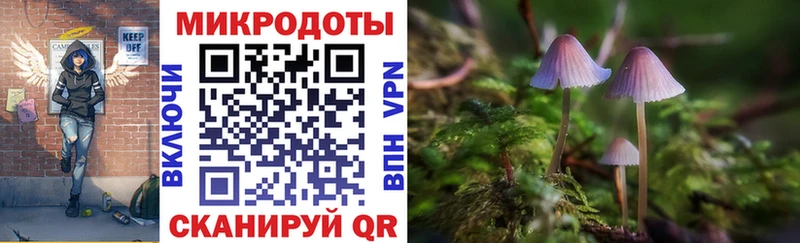 Галлюциногенные грибы мицелий  купить наркотик  Елизаветинская 