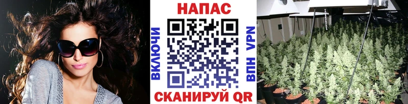 где можно купить   это клад  МАРИХУАНА тримм  Елизаветинская 